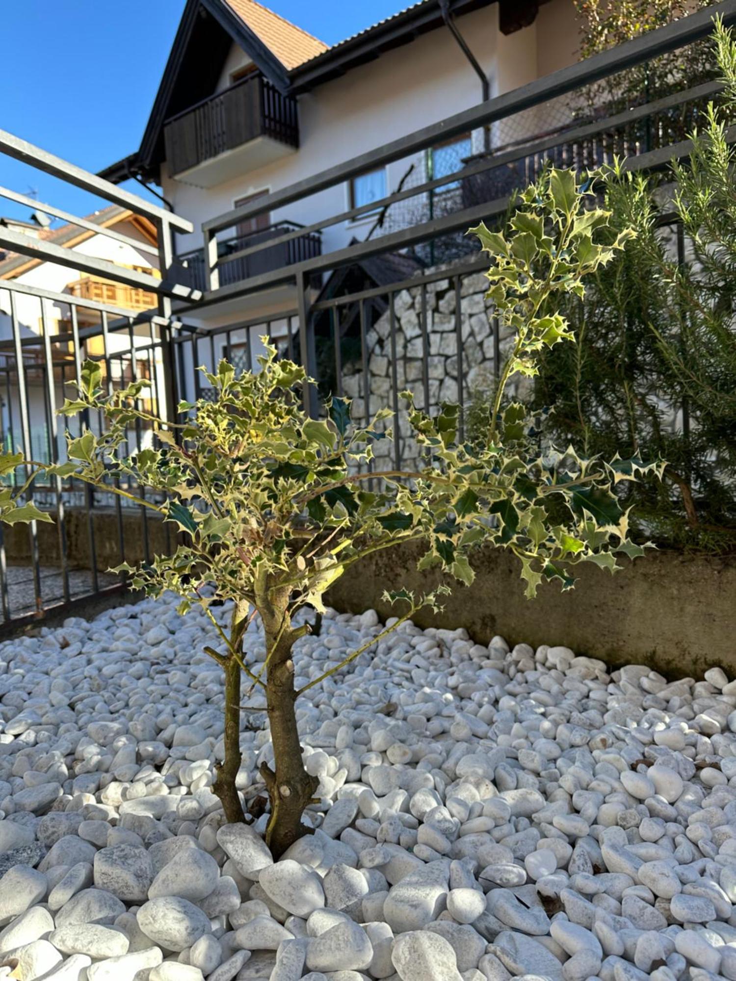Casa Vacanza La Croseta Trento Exterior foto